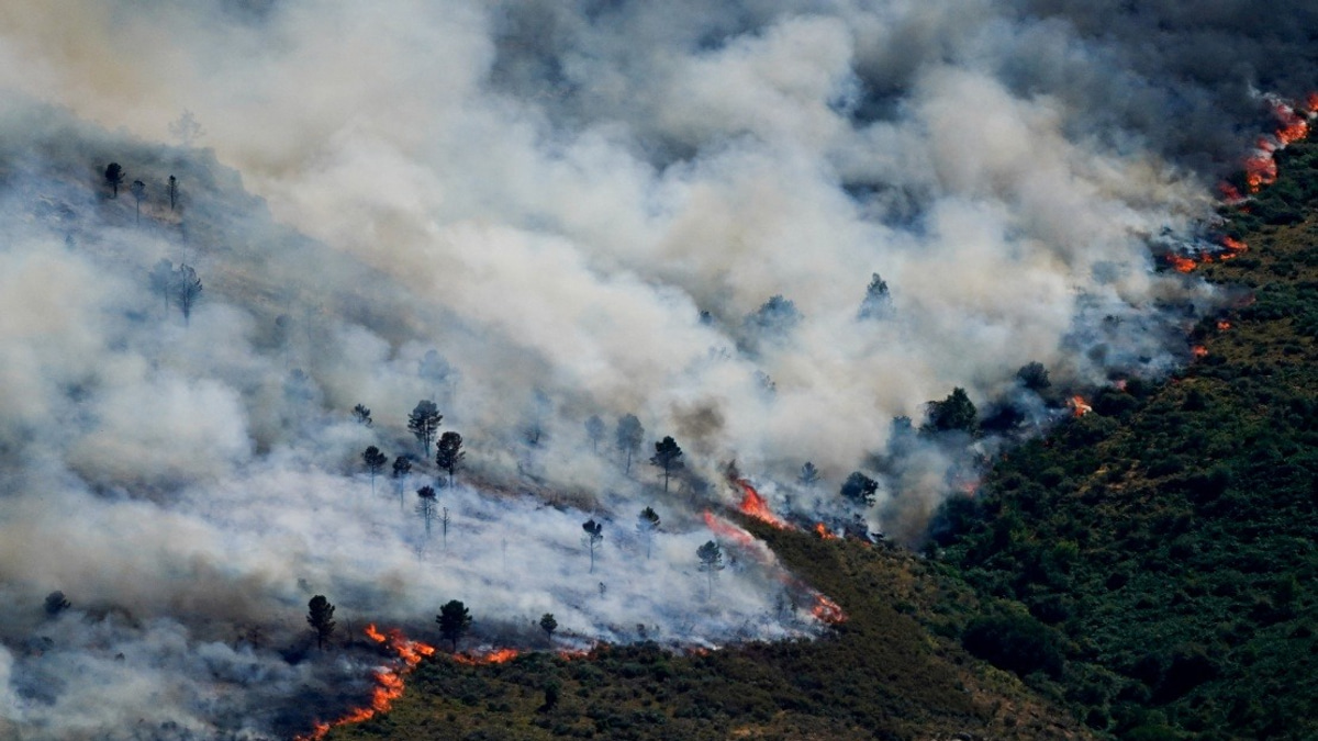 Spain Evacuates Nearly 60,000 as Wildfires Threaten Madrid Region