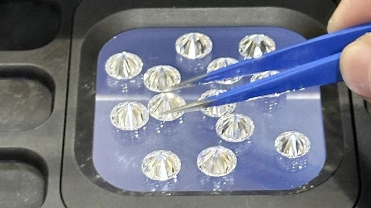 Indian national faces trial in Ho Chi Minh City over alleged diamond smuggling operation