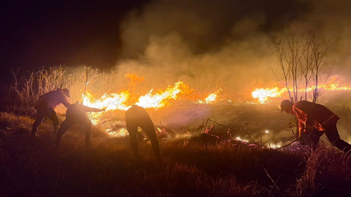 Indonesia's Mount Bromo wildfire expands to 520 hectares as powerful winds accelerate spread