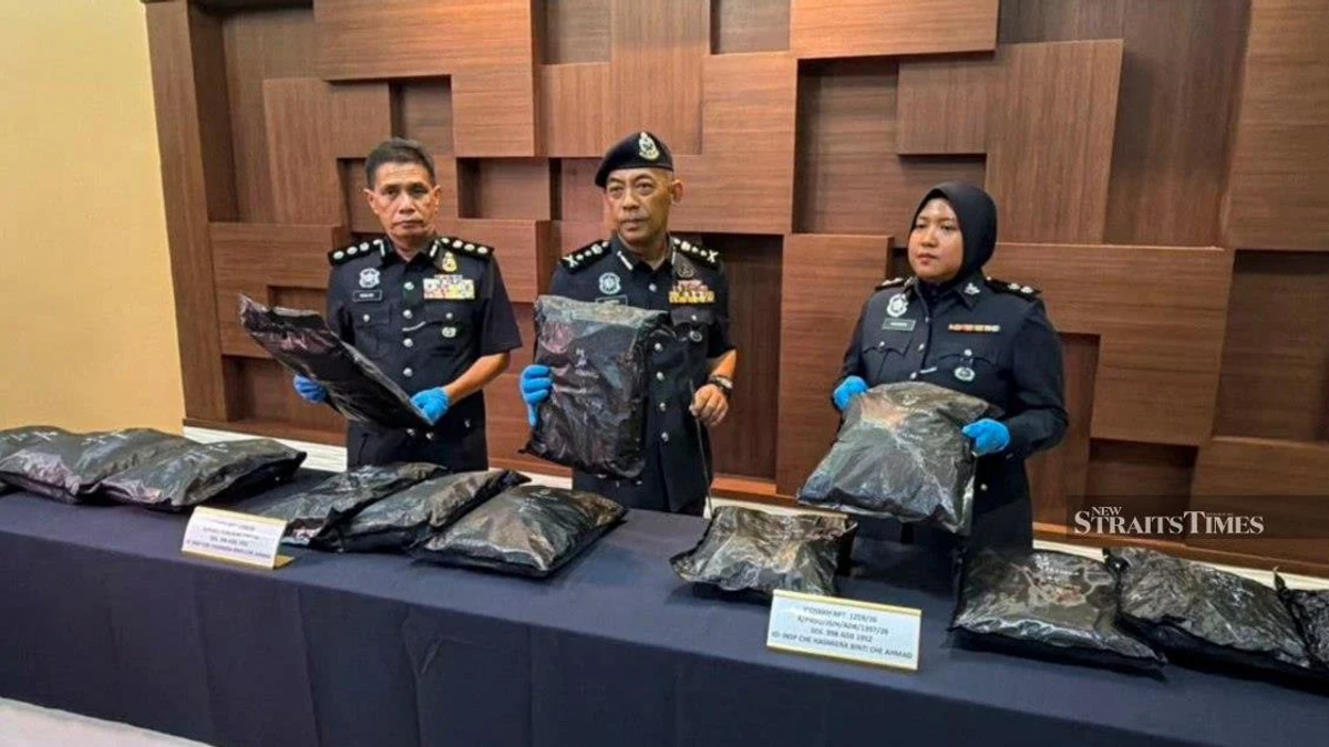 Student Drug Transporter Apprehended With RM1.17 Million Cannabis Haul at Bukit Kayu Hitam