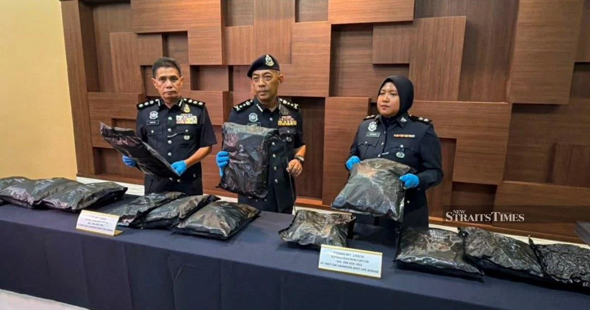 Student Drug Transporter Apprehended With RM1.17 Million Cannabis Haul at Bukit Kayu Hitam