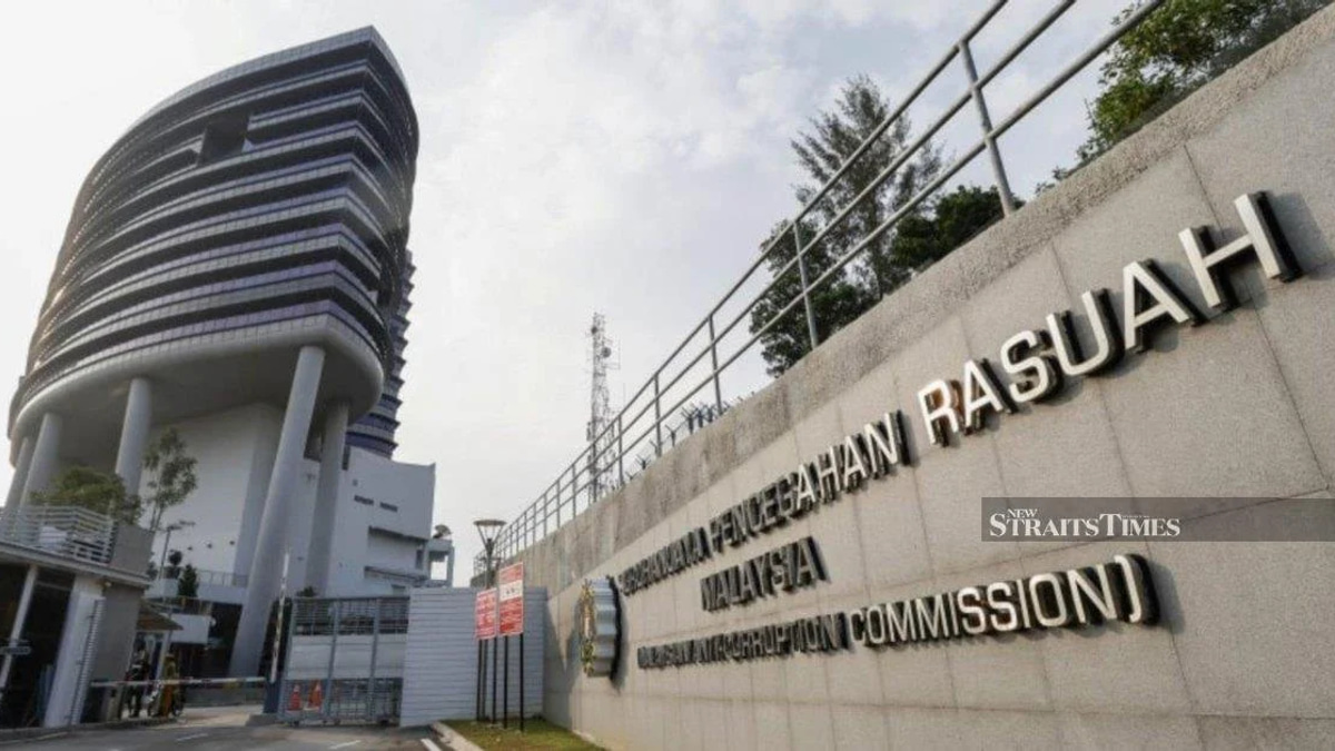 NGOs and the guardianship of public trust: Malaysia's accountability challenge