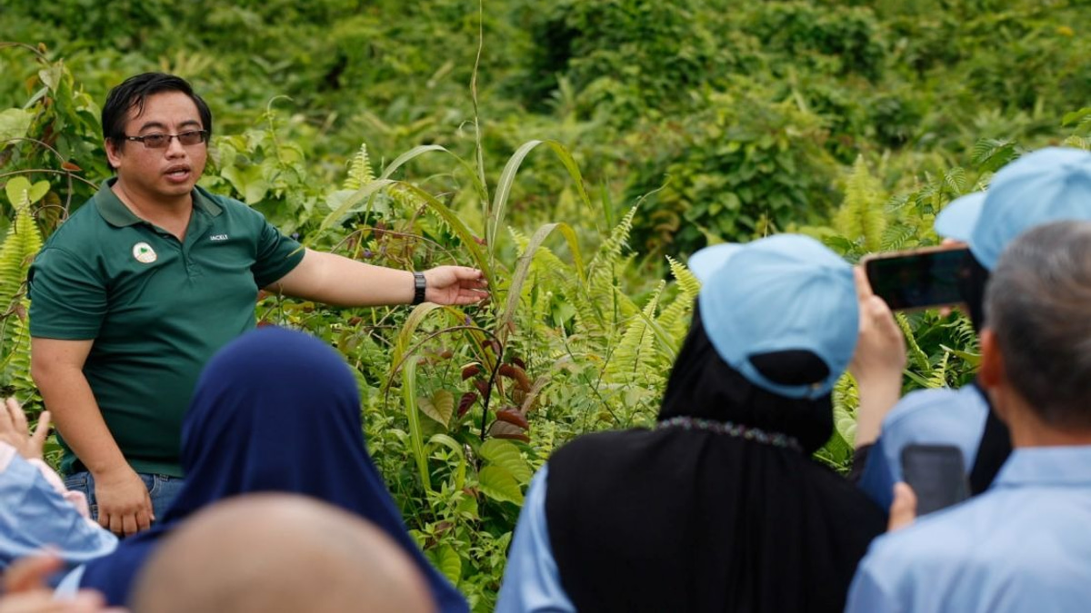 Malaysian Palm Oil Foundation Breathes New Life into Sabah's Fire-Ravaged Forest