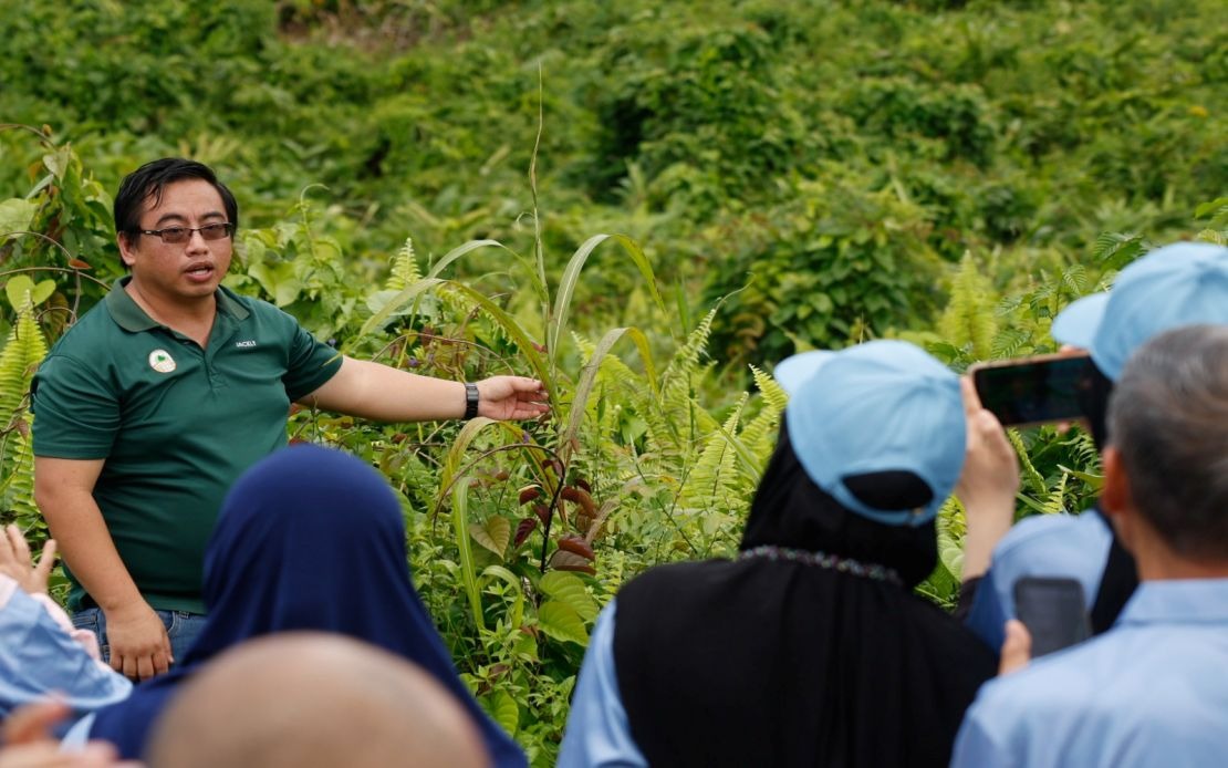 Malaysian Palm Oil Foundation Breathes New Life into Sabah's Fire-Ravaged Forest