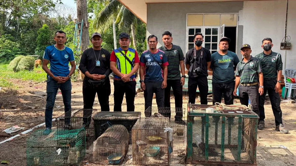 Teen arrested with nearly RM50,000 worth of protected animals in Kelantan raid