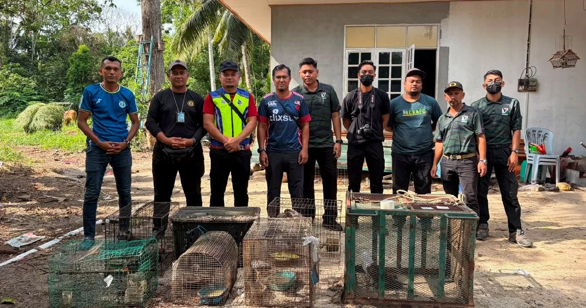 Teen arrested with nearly RM50,000 worth of protected animals in Kelantan raid