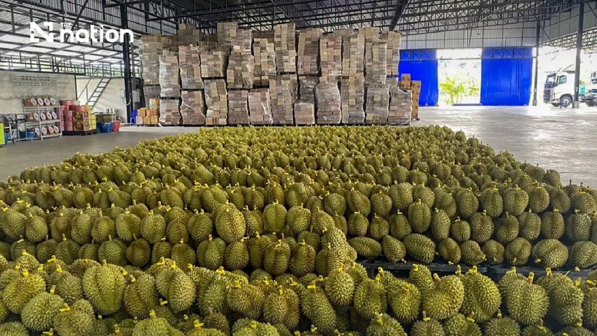 Thailand's Durian Exports to China Shatter Records, Topping THB100bn in First Half of 2026