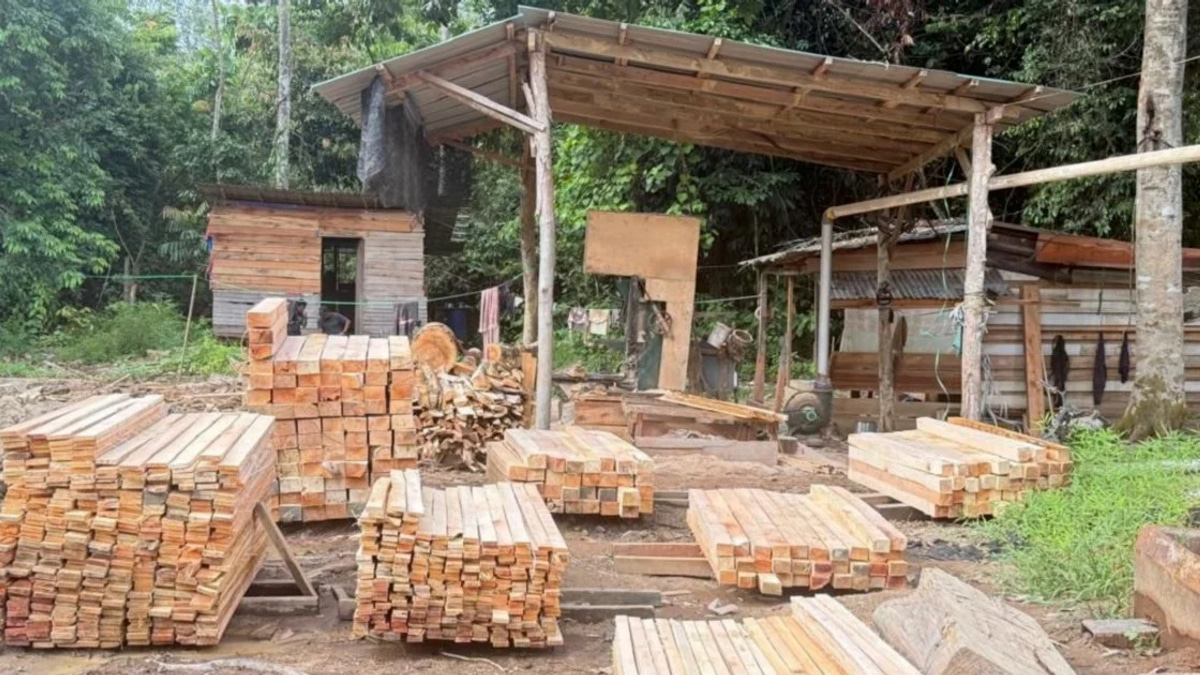 Five arrested as authorities seize RM1.69 million in illegal sawmill crackdown