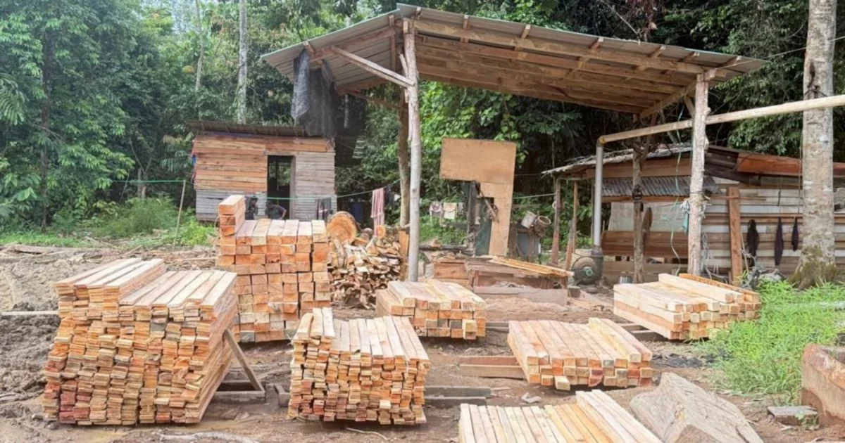 Five arrested as authorities seize RM1.69 million in illegal sawmill crackdown