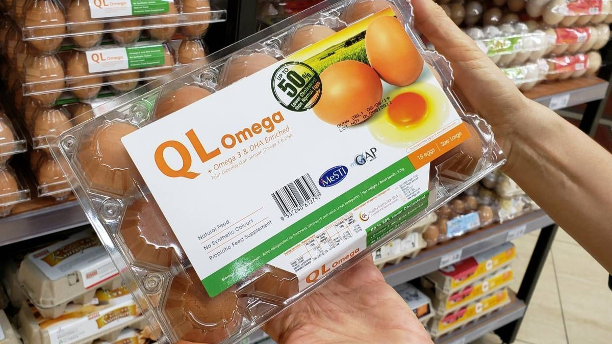 QL Resources Fundamentals Remain Sound Despite Valuation Downgrade