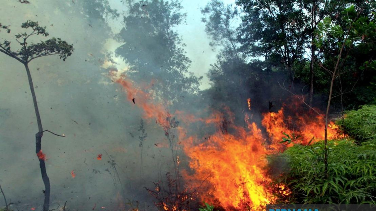 Sabah Authorities Issue Open Burning Ban As Indonesian Haze Drifts Across Border