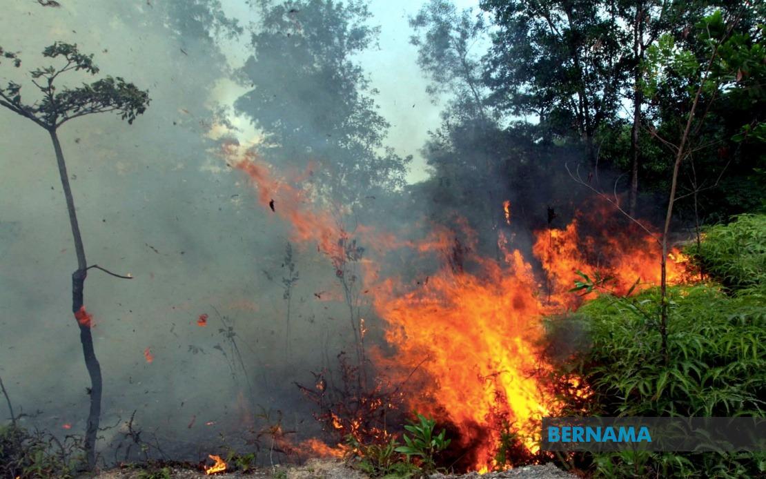 Sabah Authorities Issue Open Burning Ban As Indonesian Haze Drifts Across Border
