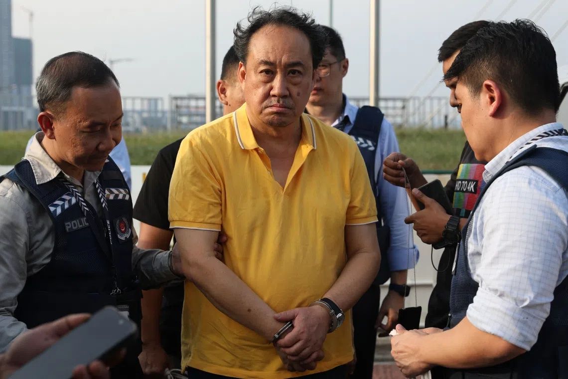 Singapore lawyer Lim Tean deported after arrest in Johor for evading jail term