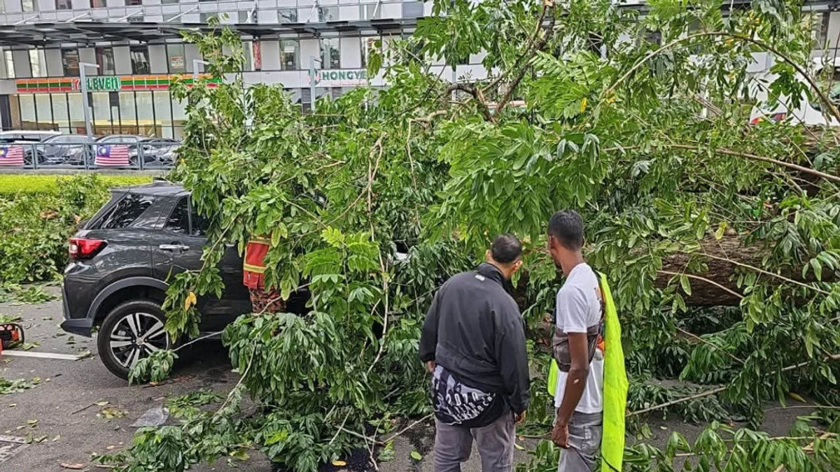 Elderly Couple and Granddaughter Escape Serious Injury After Tree Falls on Car in Penang