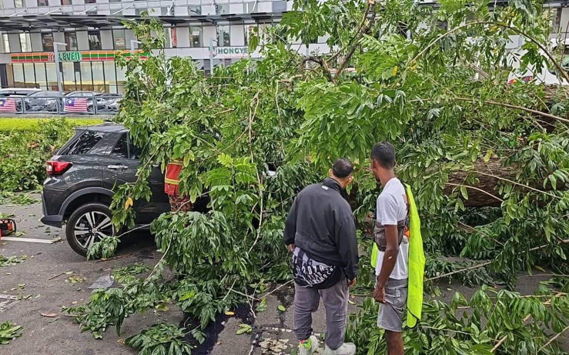 Elderly Couple and Granddaughter Escape Serious Injury After Tree Falls on Car in Penang