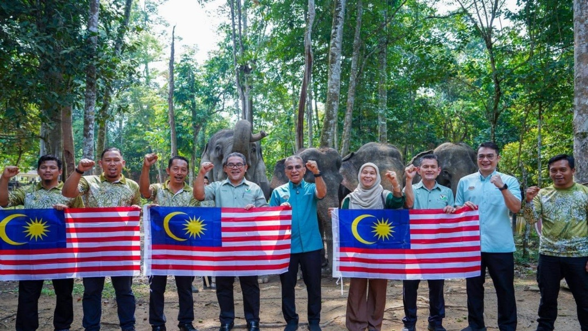 Malaysia's Wildlife Authority Seeks Fresh Approaches to Curb Human-Elephant Clashes
