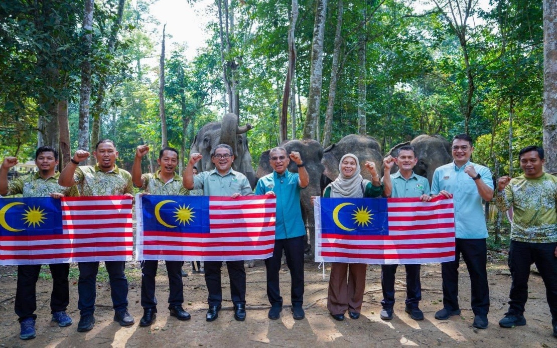Malaysia's Wildlife Authority Seeks Fresh Approaches to Curb Human-Elephant Clashes
