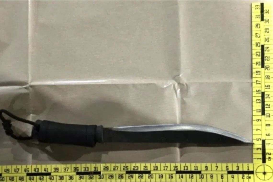 Four arrested in Singapore for abduction and weapon possession following carpark confrontation