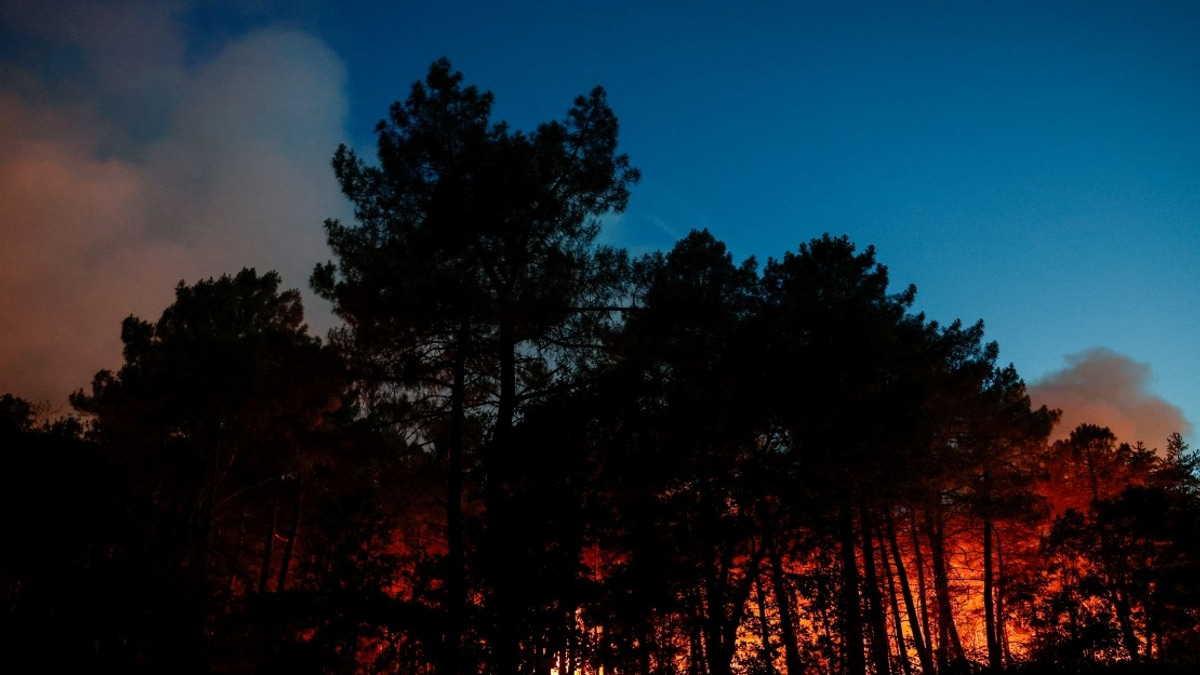 Major Wildfire Engulfs Fontainebleau Forest as Arson Suspected