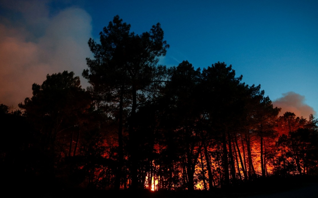 Major Wildfire Engulfs Fontainebleau Forest as Arson Suspected