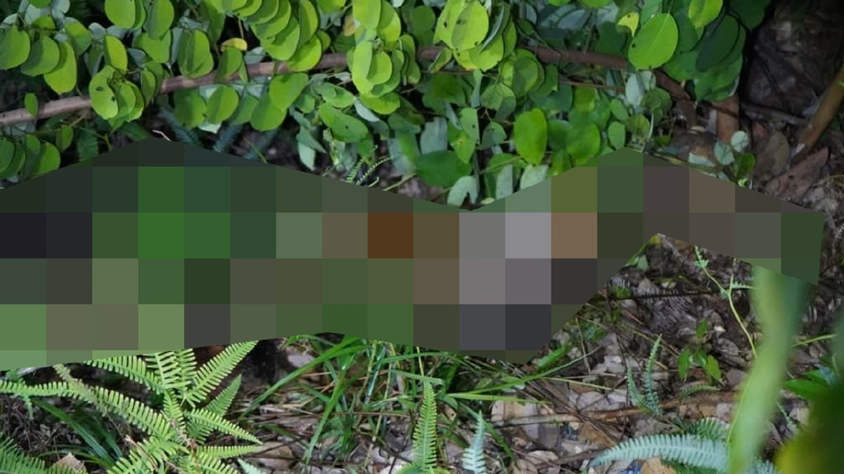 Body of Missing 10-Year-Old Girl Found; Two Men Detained Over Murder
