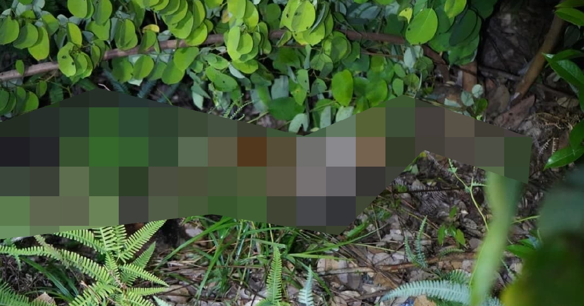 Body of Missing 10-Year-Old Girl Found; Two Men Detained Over Murder
