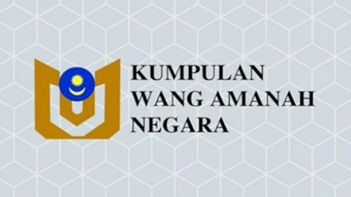 Malaysia's Revamped Sovereign Wealth Fund Must Tap Broader Resource Base, Says Amir Hamzah