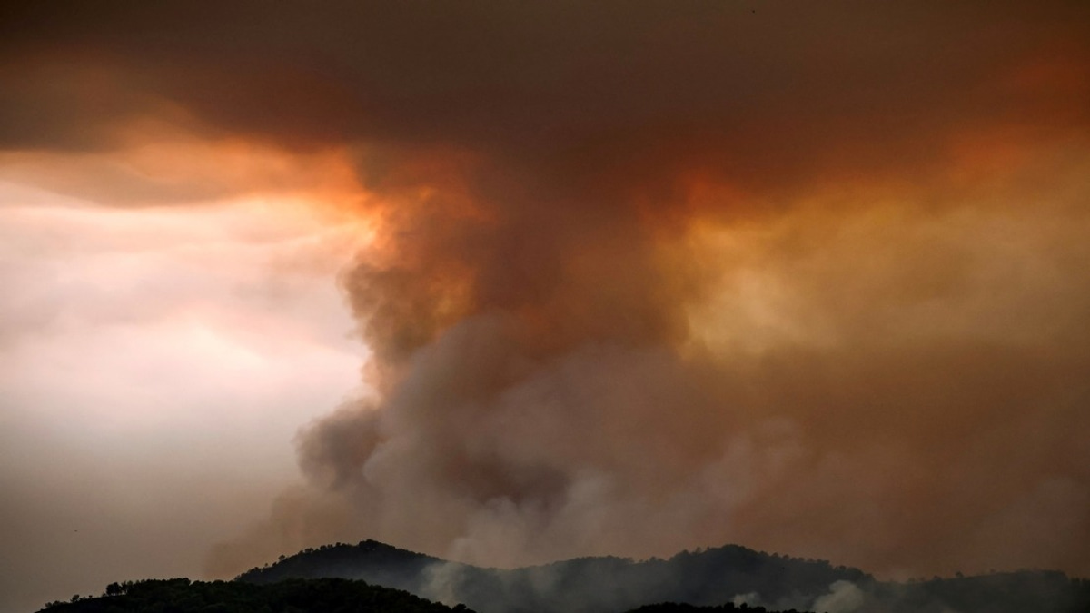 Spain Battles Worst Wildfire on Record as Nearly 100,000 Evacuated