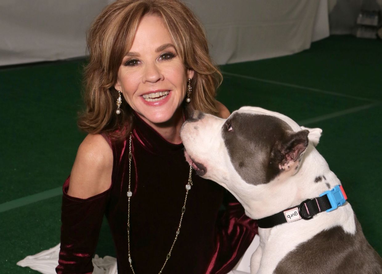 Linda Blair's California animal sanctuary faces regulatory scrutiny over undocumented rescue dogs