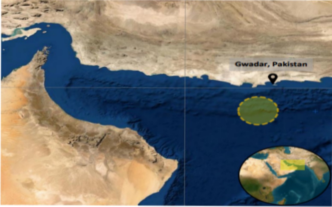 Tanker Incident Near Pakistan Coast Raises Gulf of Oman Security Concerns
