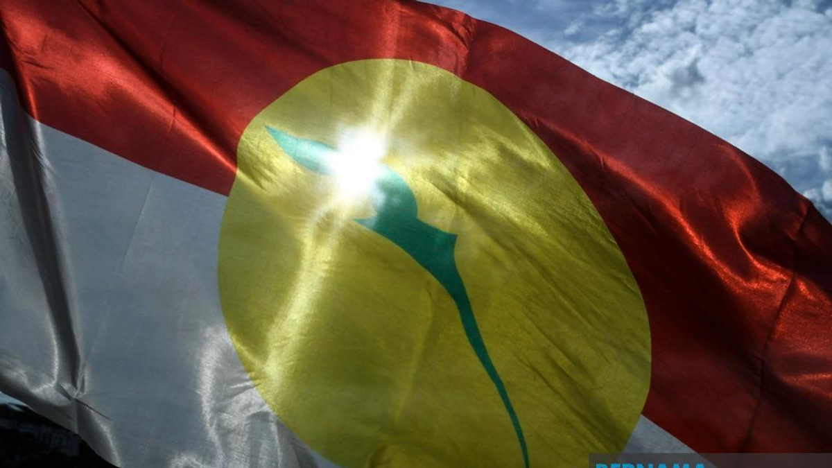 UMNO Leadership Calls for Party Unity After Johor Candidate Selection Controversy