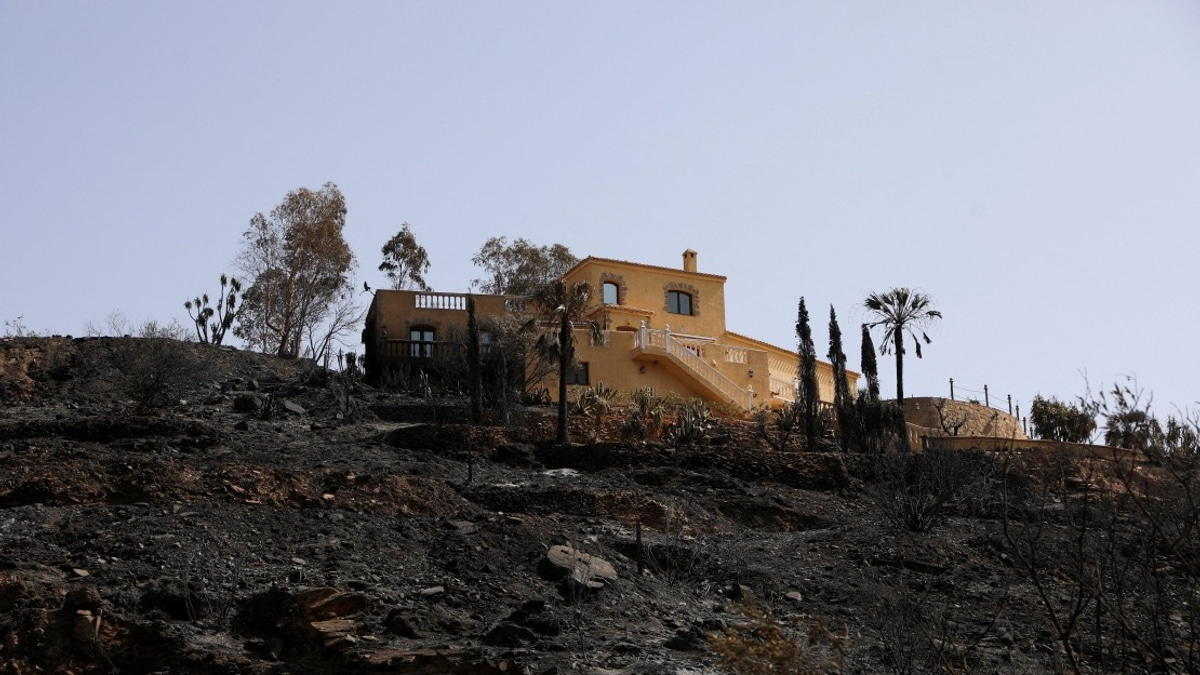 Spain Wildfire Death Toll Reaches 13 as Blaze Contained in Andalusia