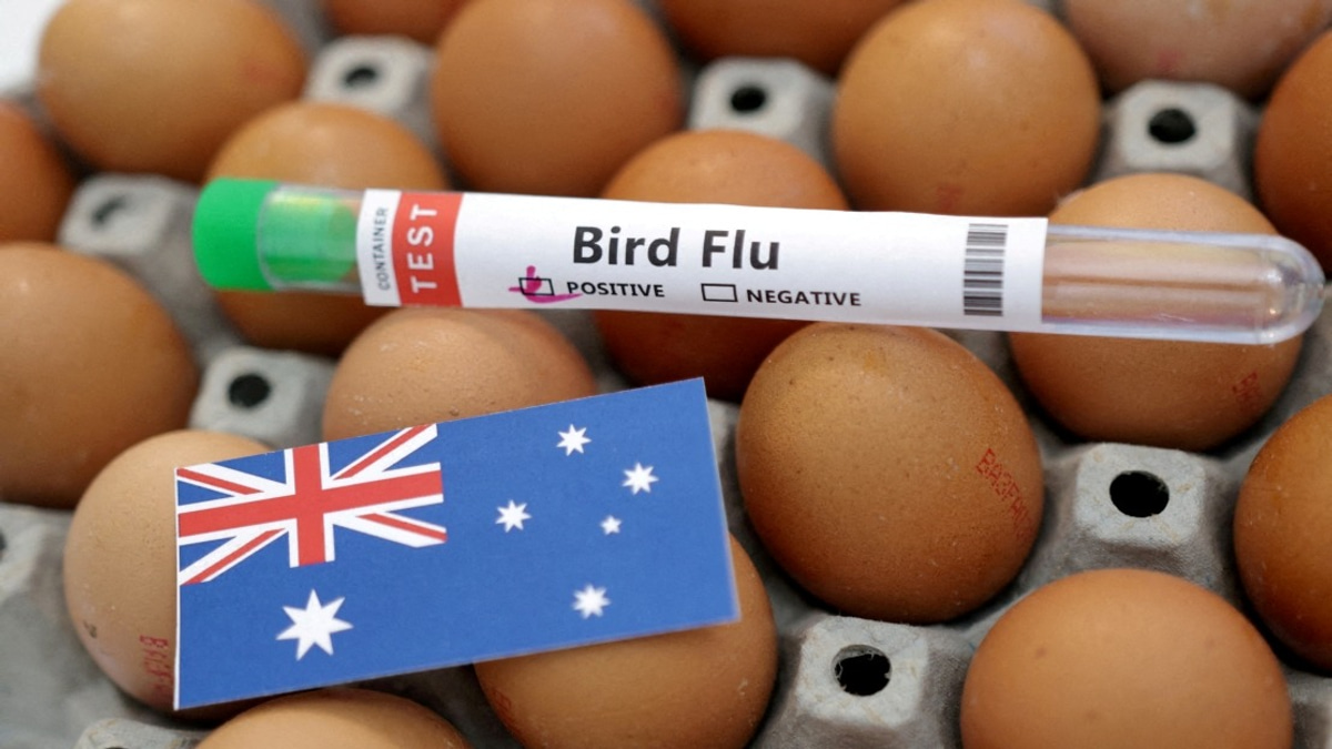 Australia Confirms First H5N1 Bird Flu Case in Local Wildlife, Raising Regional Concerns