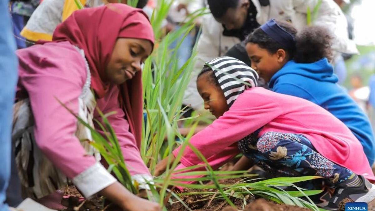 Ethiopia Plants 800 Million Trees in Record Single-Day Push for Climate Action