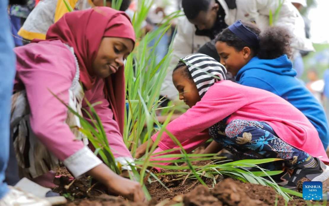 Ethiopia Plants 800 Million Trees in Record Single-Day Push for Climate Action