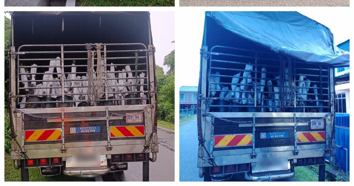 Lorry driver and attendant arrested with RM85,000 worth of smuggled Thai plant saplings