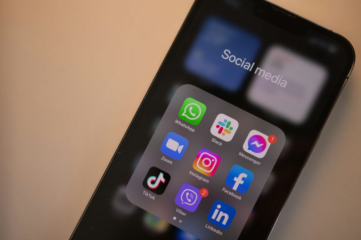 France's Constitutional Court Strikes Down Under-15 Social Media Ban as Unconstitutional