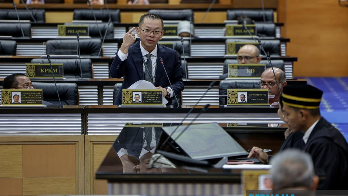Rice Act Enforcement Will Spare Farmers, Focus on Supply Chain Players, Says Deputy Minister