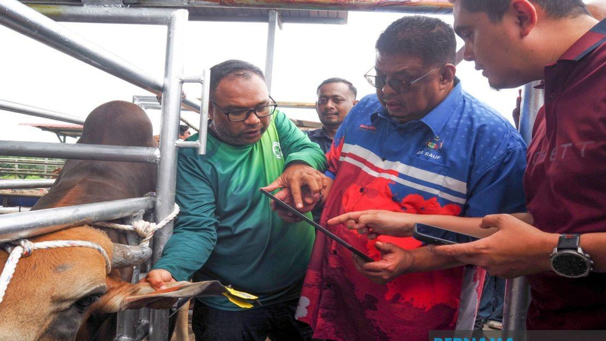 Melaka Deploys QR Code Tags to Revolutionise Livestock Tracking and Owner Accountability