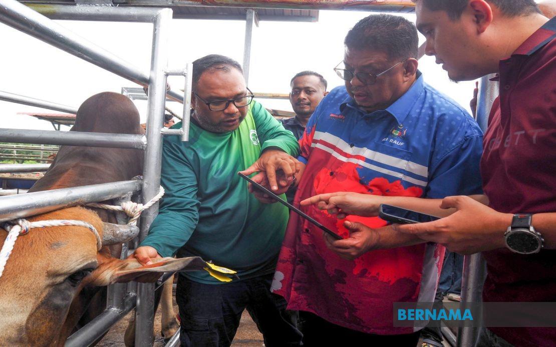 Melaka Deploys QR Code Tags to Revolutionise Livestock Tracking and Owner Accountability