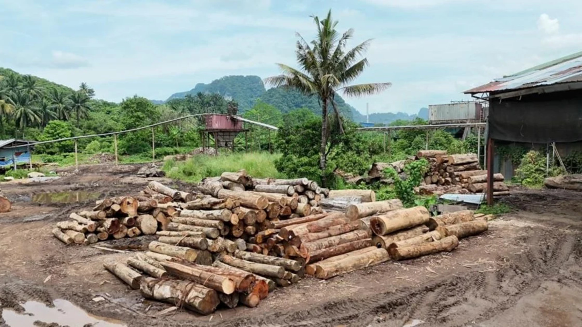 Forest Guards Arrest 11 in Major Timber Trafficking Bust, Seize RM2.43 Million in Assets